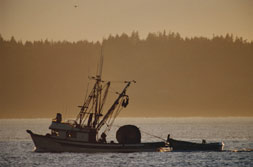 Rescue Flares Boaters